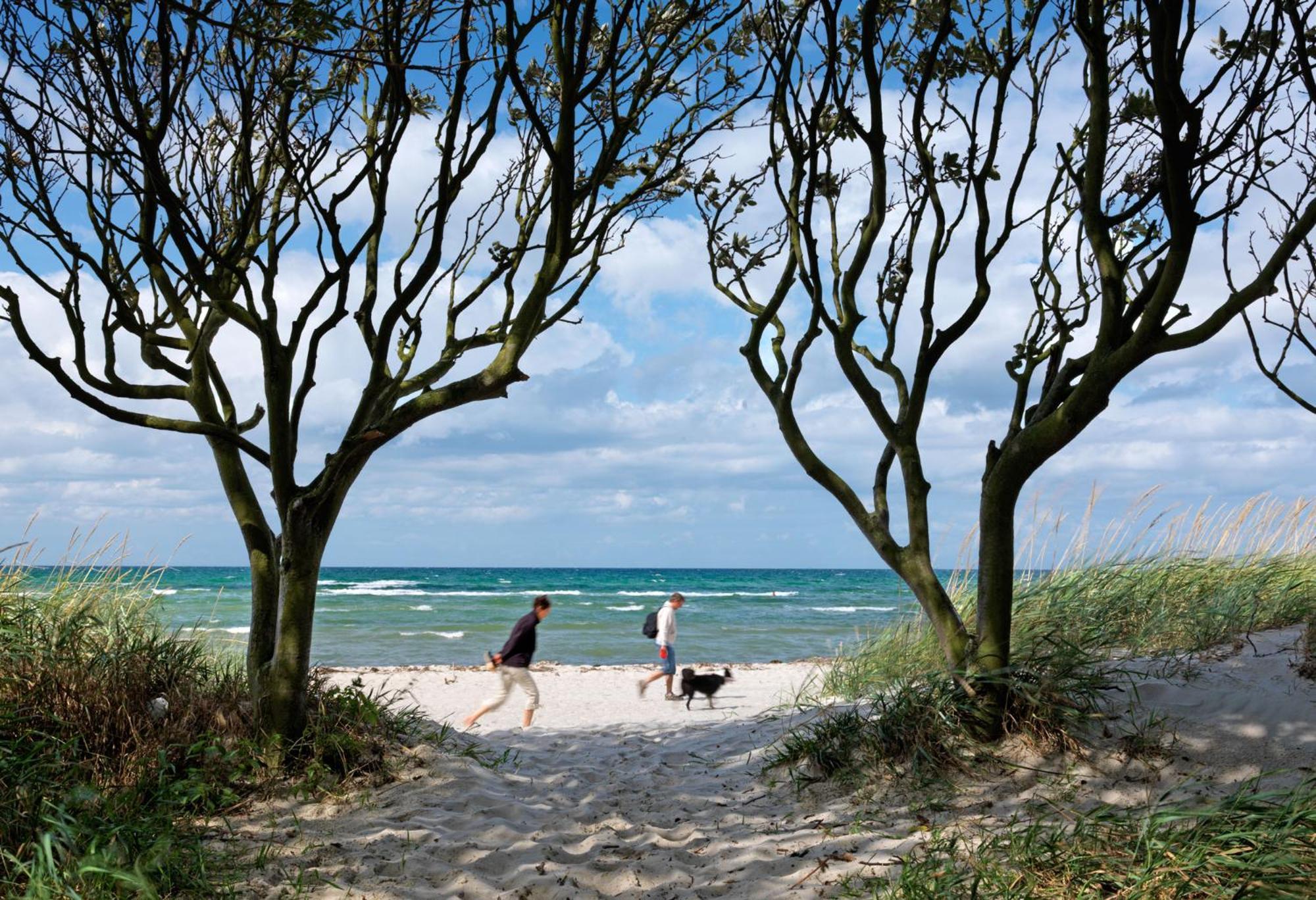 Vila Reetdachhaus Hus Kieker Insel Poel Exteriér fotografie